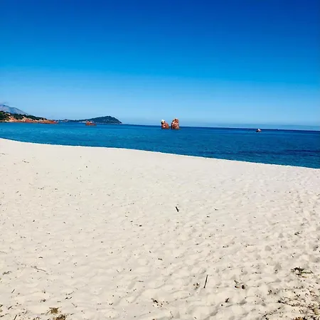 公寓 Vista Mare E Montagna In Ogliastra Jerzu